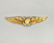 Original USCG Auxiliary gold pilot wings device - front